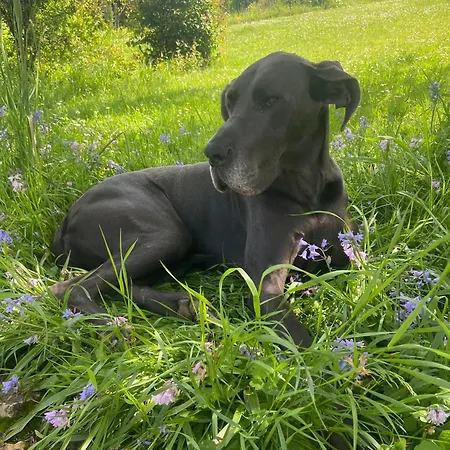 Les Rocailles Bed & Breakfast