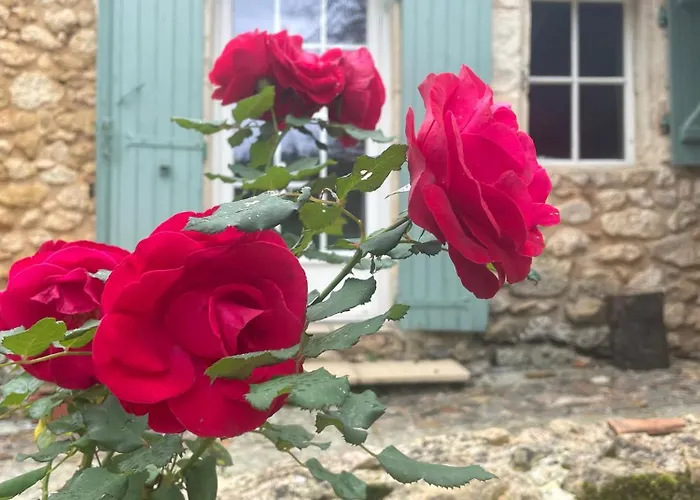 Les Rocailles 4* Lamonzie-Montastruc