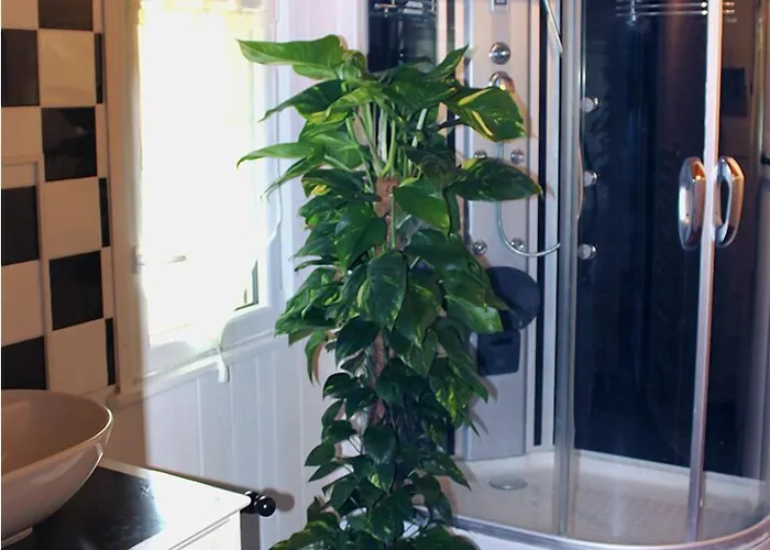 ベッド・アンド・ブレックファスト Les Rocailles 4*