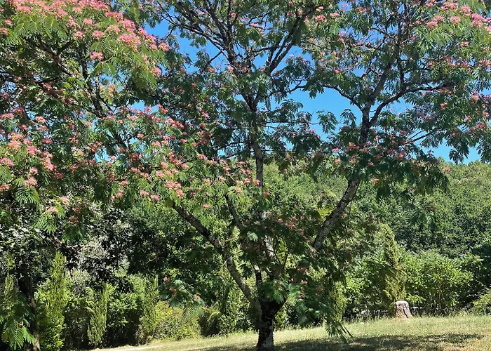 ベッド・アンド・ブレックファスト Les Rocailles